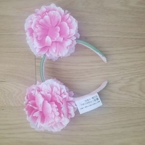 Disney Parks ears brand new without tags.